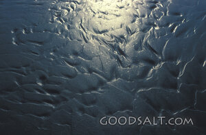 Wet Sand at Low Tide