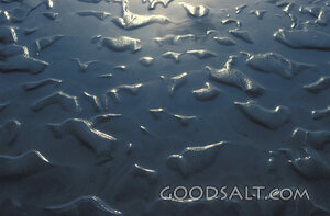 Wet Sand at Low Tide