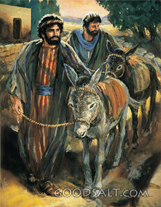 Disciples Find a Donkey