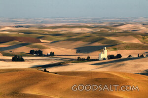 Distant Fields