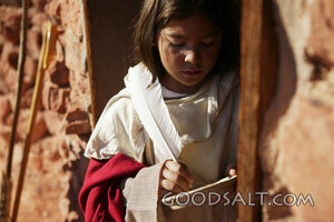Young Israelite Scribe