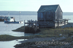 Harbor Fishing Boat and Weathered Boathouse