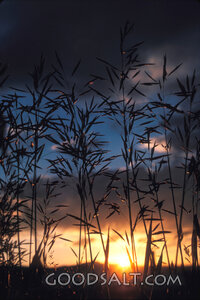 sun on horizon