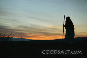 Moses Views the Promised Land