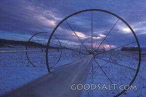 Winter Irrigation Line at Twilight