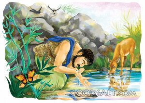 Elijah at the Brook