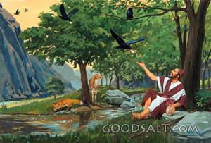 Elijah Fed by Ravens