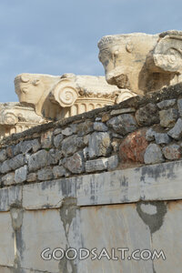 Ephesus Ruins - Bull Capitals