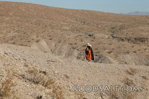 Israelite Water Bearers in the Wilderness