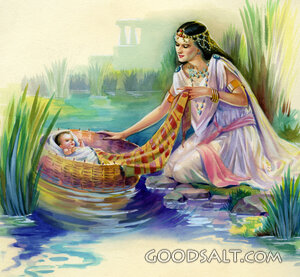 Finding Baby Moses