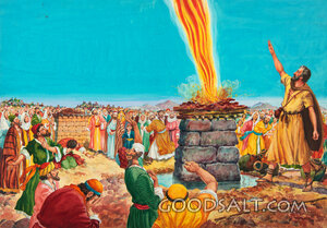 Fire From Heaven at Elijah's Request to God