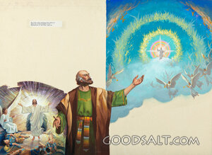 First and Second Coming