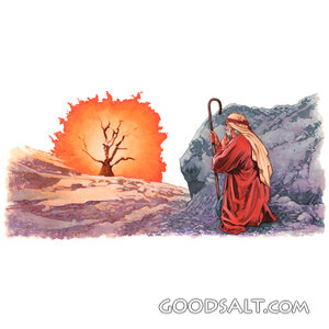 Moses Before the Burning Bush