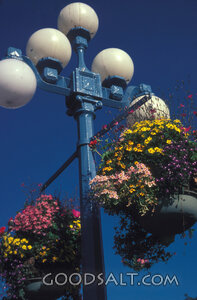 Garden Lamp with Hanging Flower Baskets