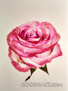 Flower in Bloom