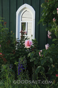 Flowers by a Window