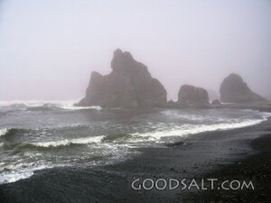 Foggy Coast