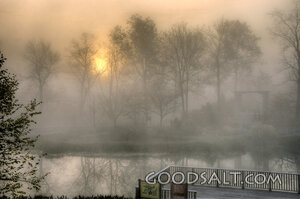 Foggy Morning 2