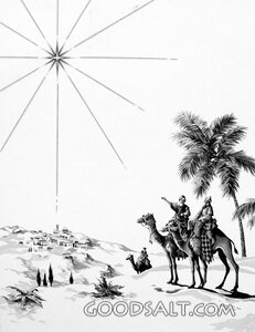 Follow the Star