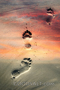Footprints in the Sand