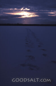 footprints crossing frozen lake under darkening winter sky