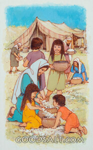 Gathering Manna