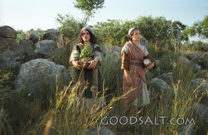 Gathering Wild Herbs