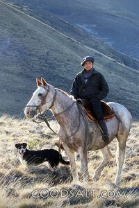 Gaucho on Horseback