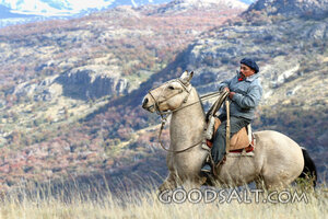 Gaucho on Horseback