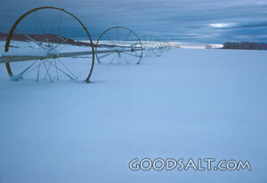 Winter Irrigation in a Snow Covered Field