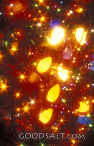 Christmas Lights of Advent