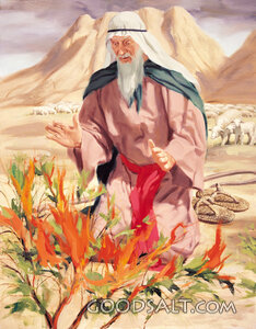 God Called Moses