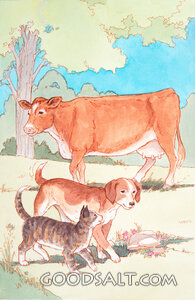 God Created Animals