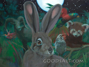 God Made the Sun Moon Stars and Animals