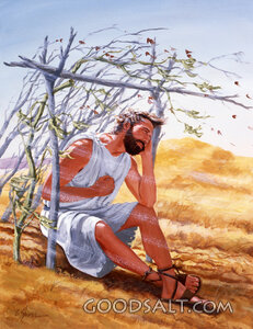 God Shows Jonah His Love