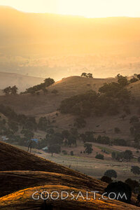 golden late sun bathes country scene and hillsides in misty light.