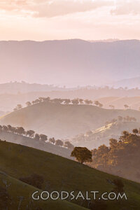 golden late sun bathes country scene and hillsides in misty light.