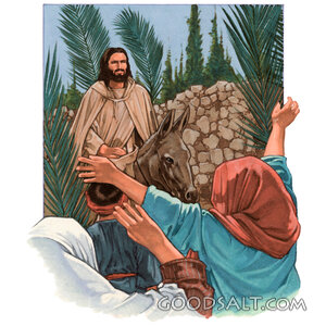 Hosanna to the Son of David