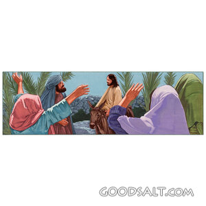 Jesus Enters Jerusalem