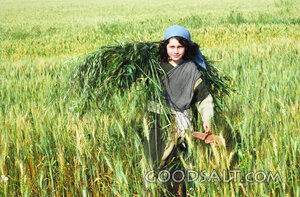 Harvest