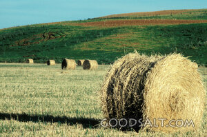 Hay Bales