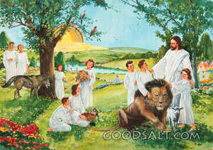 Heavenly Home and New Jerusalem in the New Earth
