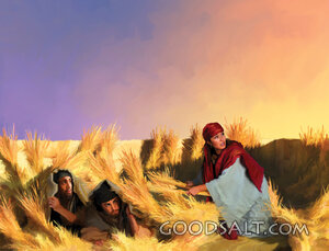 Hiding Beneath the Flax