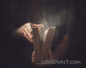 Holding a Dusty Bible