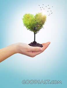 Holding a Heart Tree