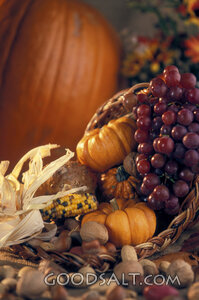 Thanksgiving Harvest Basket