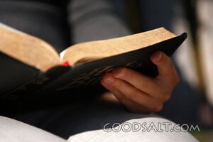 IDAHO. Boise. Hands holding Bible (close-up). MR