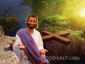 Invitation to Life