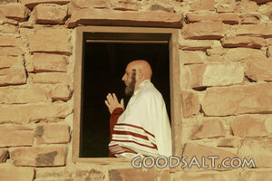 Daniel Prays Toward Jerusalem