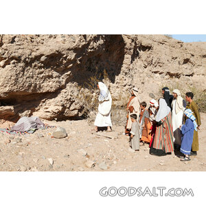 Jesus Approaches the Sick Man